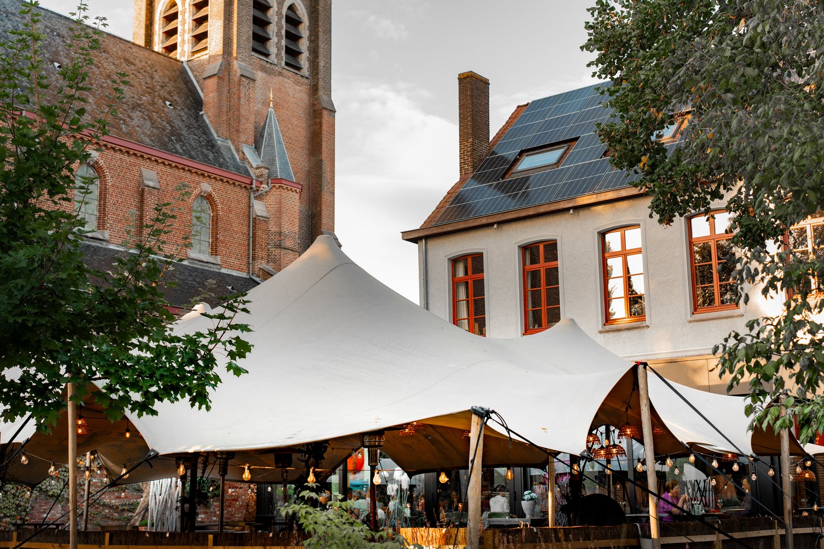 Artisan cocktail with lemon slice and ice on dark surface